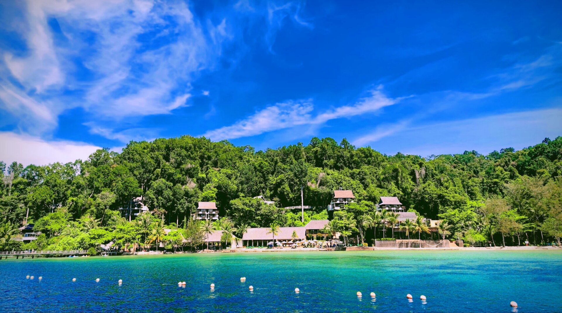 庇俖(庇哩亚教会圣乐分裂事件) 庇俖(庇哩亚教会圣乐分裂事件)