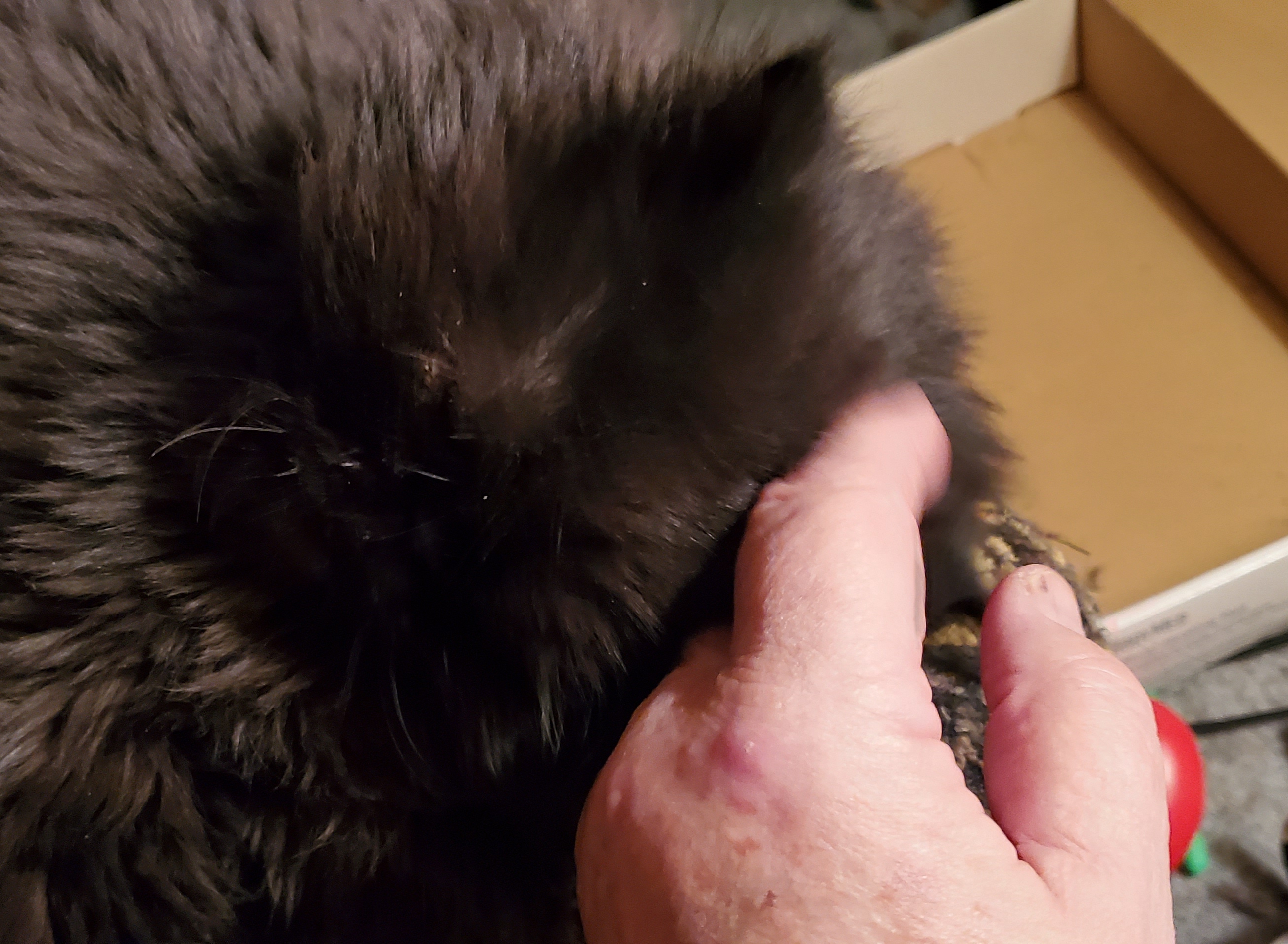 訧~??5(油5L是多少公斤)