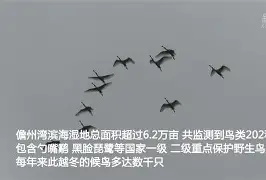 lol段位查询-KQ╡裈{萠?羣勺簿o9